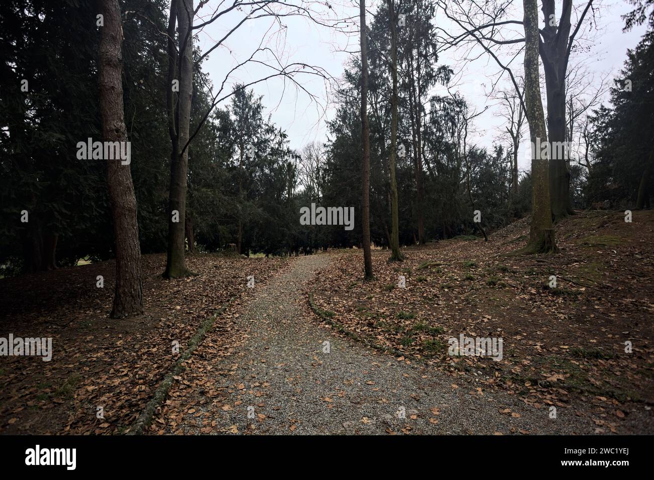 Pfad am Rande einer Piste in einem Park an einem bewölkten Tag im Herbst Stockfoto