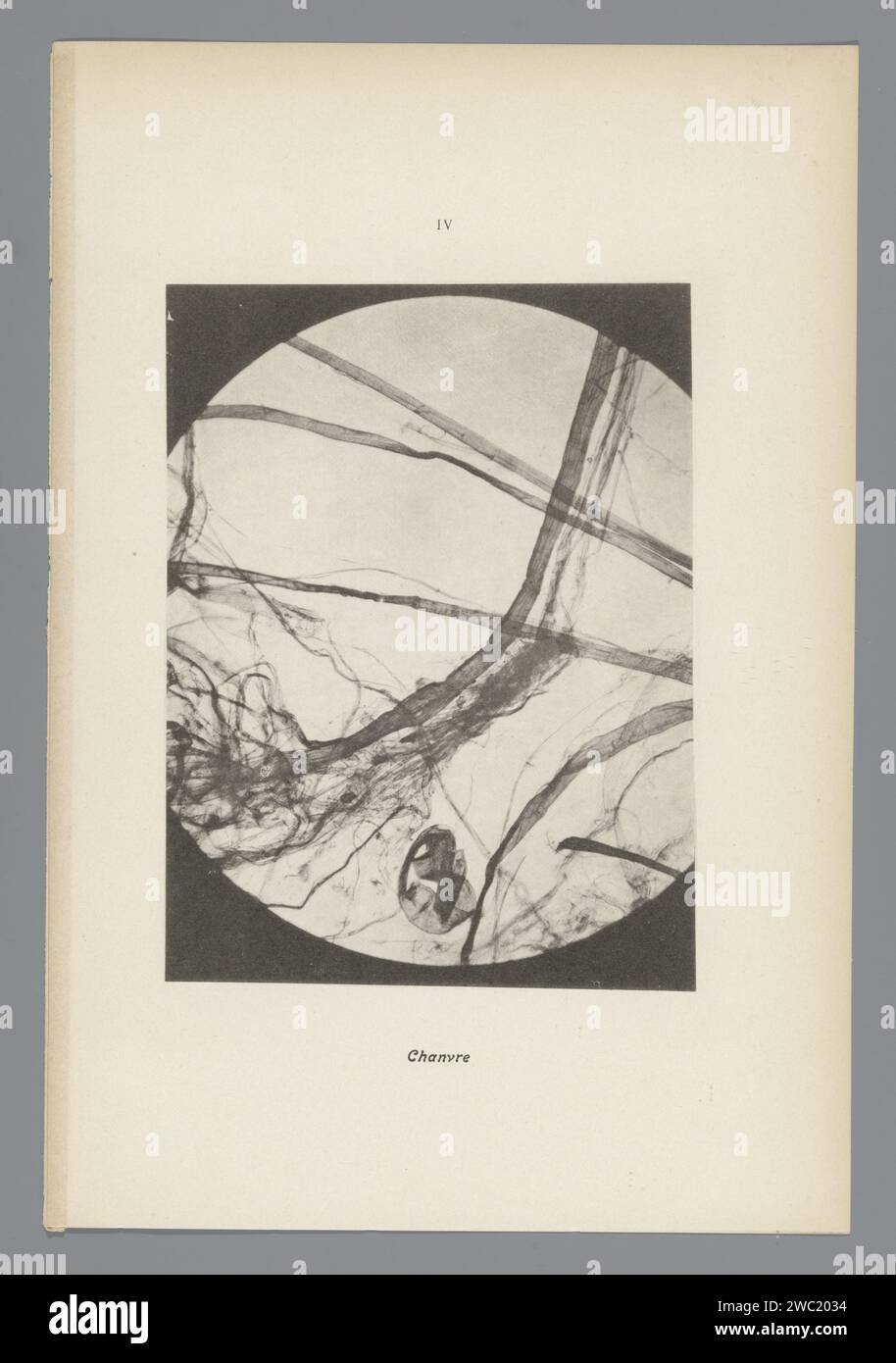 IV Chanvre, Anonym, 1900 Fotomaterial aus Précis Historique. Frankreich Papier. Farbkollotyp Stockfoto