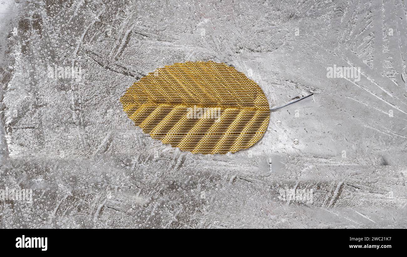 Goldenes Blatt auf eisiger Oberfläche mit Wintermustern Stockfoto