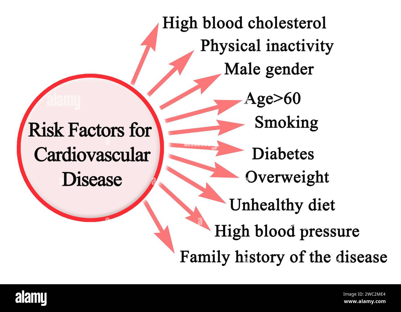 Risikofaktoren für Herz-Kreislauf-Erkrankungen Stockfoto