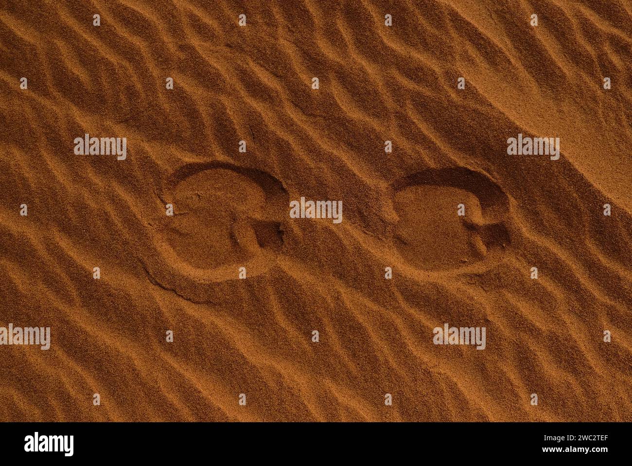 Kamelpfad in der saudischen Wüste Stockfoto