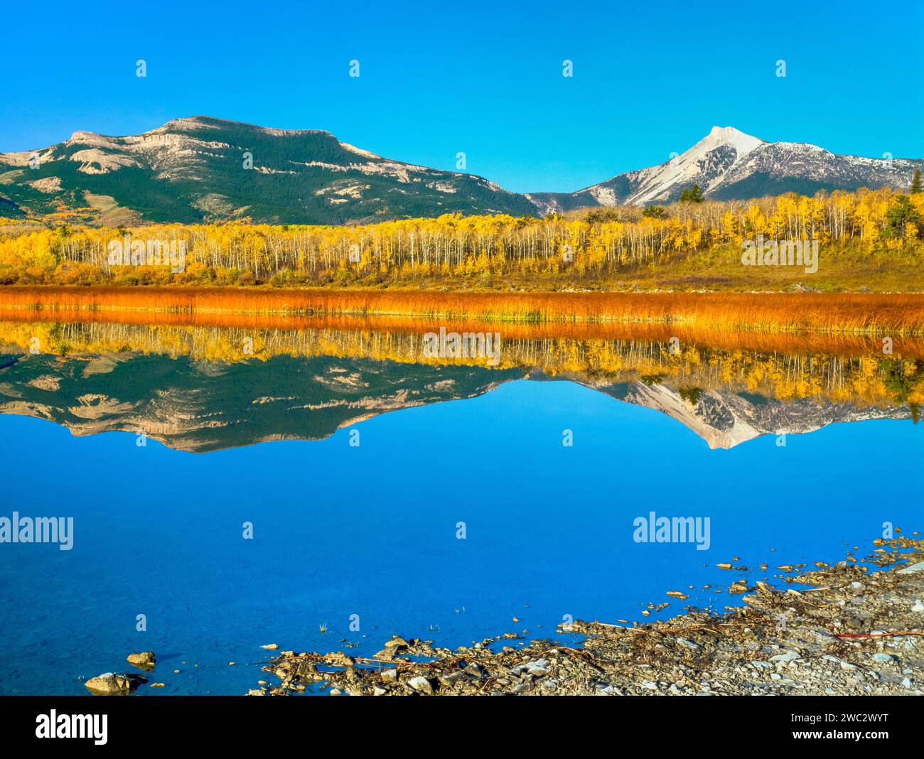 Herbstfarben und Federwoman Mountain entlang der felsigen Bergfront spiegeln sich in einem Teich in der Nähe von Heart butte, montana Stockfoto