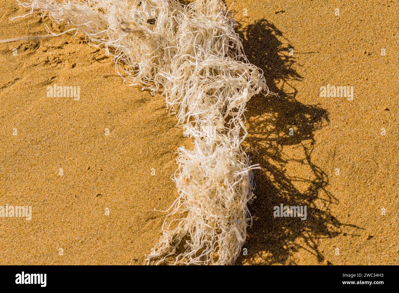Material von einem aussortierten Fischernetz, das auf einem Sandstrand liegt Stockfoto