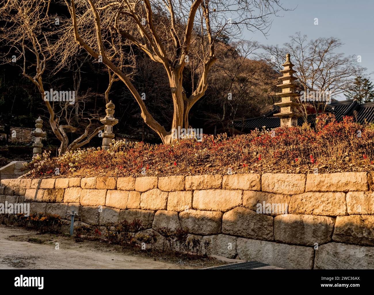 Herbstlandschaft aus Stein geschnitzten neunstöckigen Pagode am buddhistischen Tempel Stockfoto Herbstlandschaft aus Stein geschnitzten neunstöckigen Pagode am buddhistischen Tempel Stockfoto