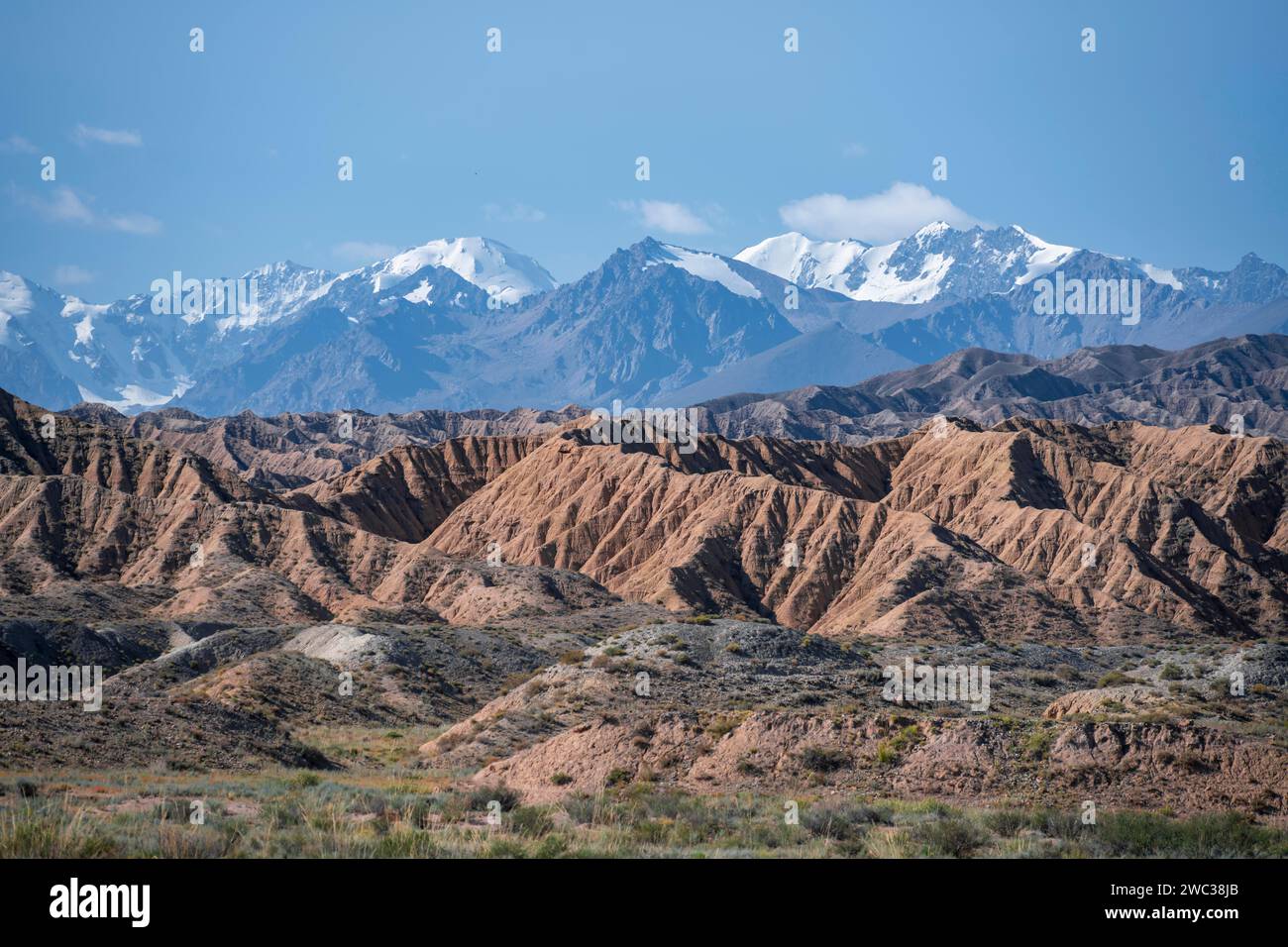 Canyons in Wüstenlandschaft, Berge des Tian Shan im Hintergrund, erodierte hügelige Landschaft, Badlands, Tal der vergessenen Flüsse, in der Nähe Stockfoto