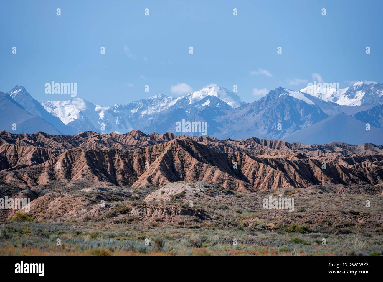 Canyons in Wüstenlandschaft, Berge des Tian Shan im Hintergrund, erodierte hügelige Landschaft, Badlands, Tal der vergessenen Flüsse, in der Nähe Stockfoto