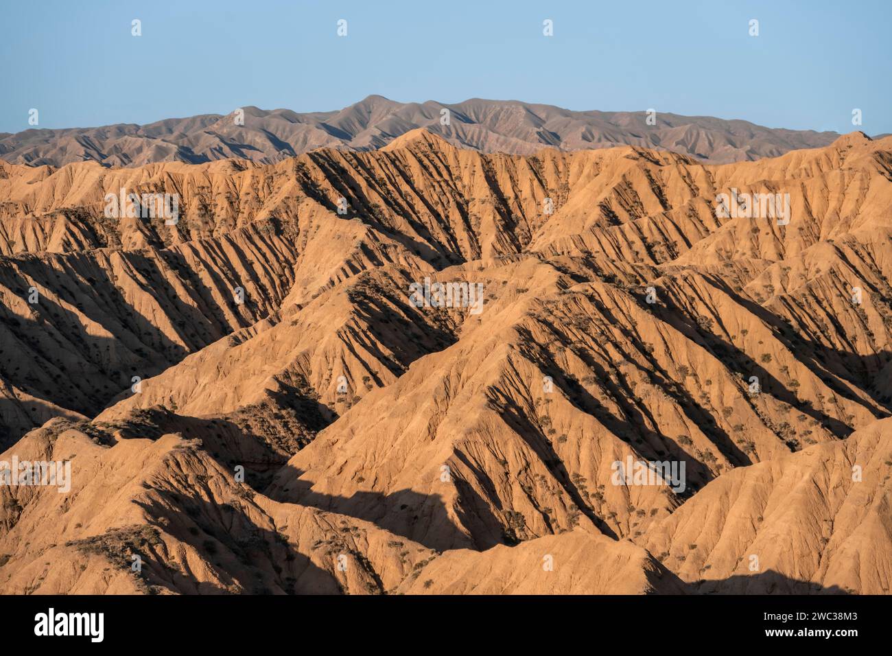 Canyons, erodierte hügelige Landschaft, Badlands, Tal der vergessenen Flüsse, in der Nähe von Bokonbayevo, Yssykkoel, Kirgisistan Stockfoto