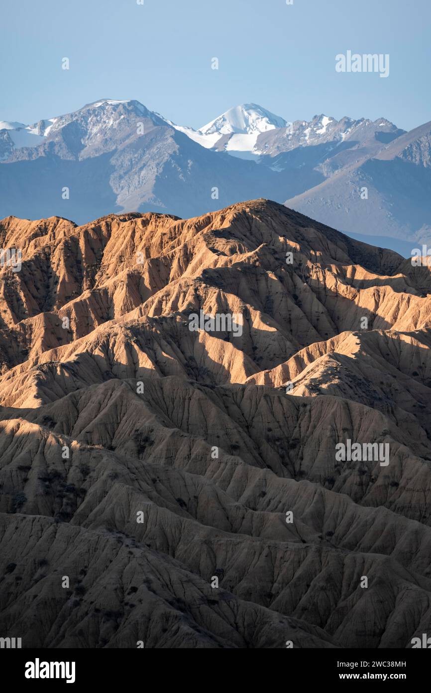 Canyons, Berge des Tian Shan im Hintergrund, erodierte Hügel, Badlands, Tal der vergessenen Flüsse, in der Nähe von Bokonbayevo, Yssykkoel, Kirgisistan Stockfoto