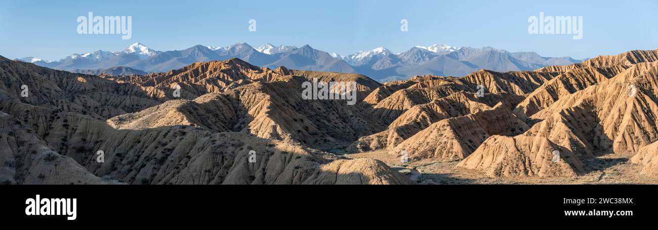 Canyons, Berge des Tian Shan im Hintergrund, erodierte Hügel, Badlands, Tal der vergessenen Flüsse, in der Nähe von Bokonbayevo, Yssykkoel, Kirgisistan Stockfoto