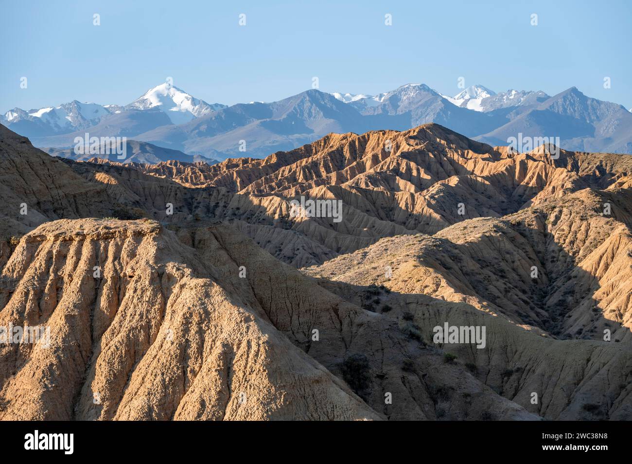 Canyons, Berge des Tian Shan im Hintergrund, erodierte Hügel, Badlands, Tal der vergessenen Flüsse, in der Nähe von Bokonbayevo, Yssykkoel, Kirgisistan Stockfoto