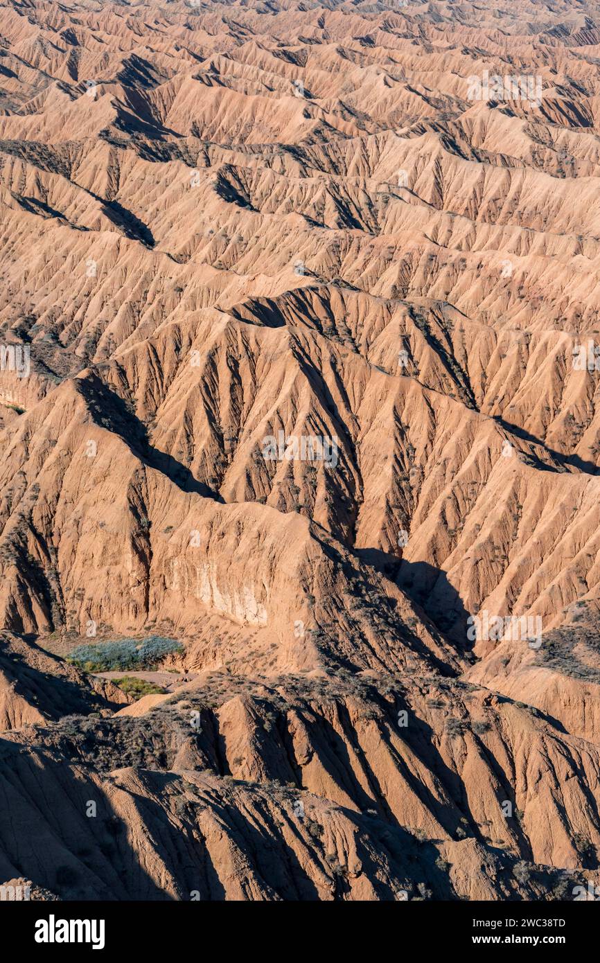 Canyons und erodierte Hügel, Badlands, Tal der vergessenen Flüsse, in der Nähe von Bokonbayevo, Yssykkoel, Kirgisistan Stockfoto