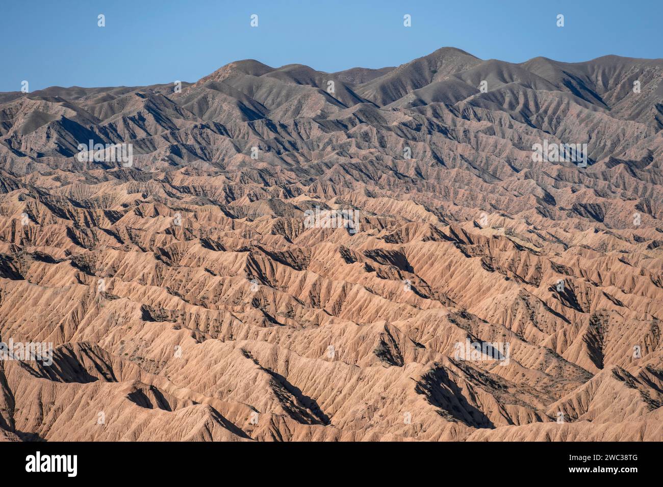 Canyons und erodierte Hügel, Badlands, Tal der vergessenen Flüsse, in der Nähe von Bokonbayevo, Yssykkoel, Kirgisistan Stockfoto