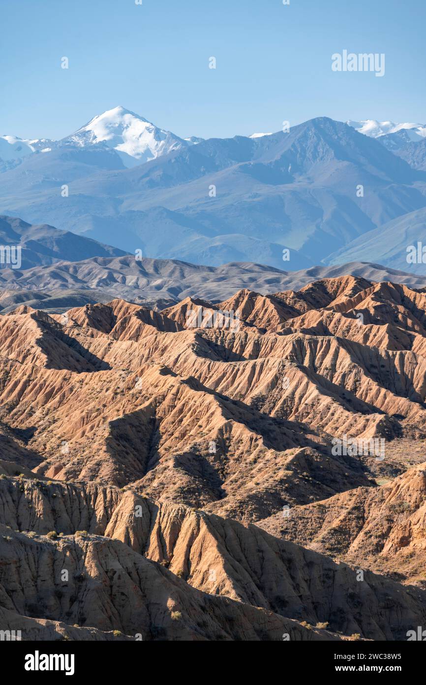 Canyons in Wüstenlandschaft, Berge des Tian Shan im Hintergrund, erodierte hügelige Landschaft, Badlands, Tal der vergessenen Flüsse, in der Nähe Stockfoto