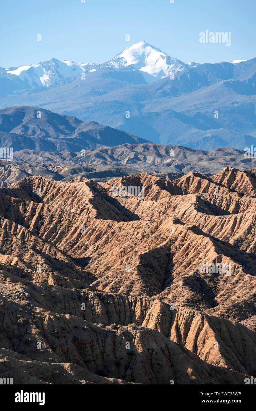 Canyons in Wüstenlandschaft, Berge des Tian Shan im Hintergrund, erodierte hügelige Landschaft, Badlands, Tal der vergessenen Flüsse, in der Nähe Stockfoto