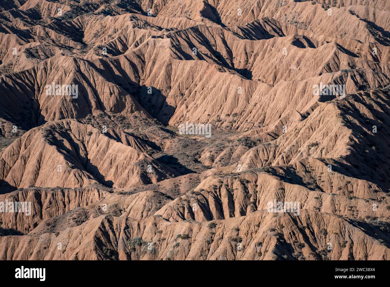 Canyons und erodierte Hügel, Badlands, Tal der vergessenen Flüsse, in der Nähe von Bokonbayevo, Yssykkoel, Kirgisistan Stockfoto