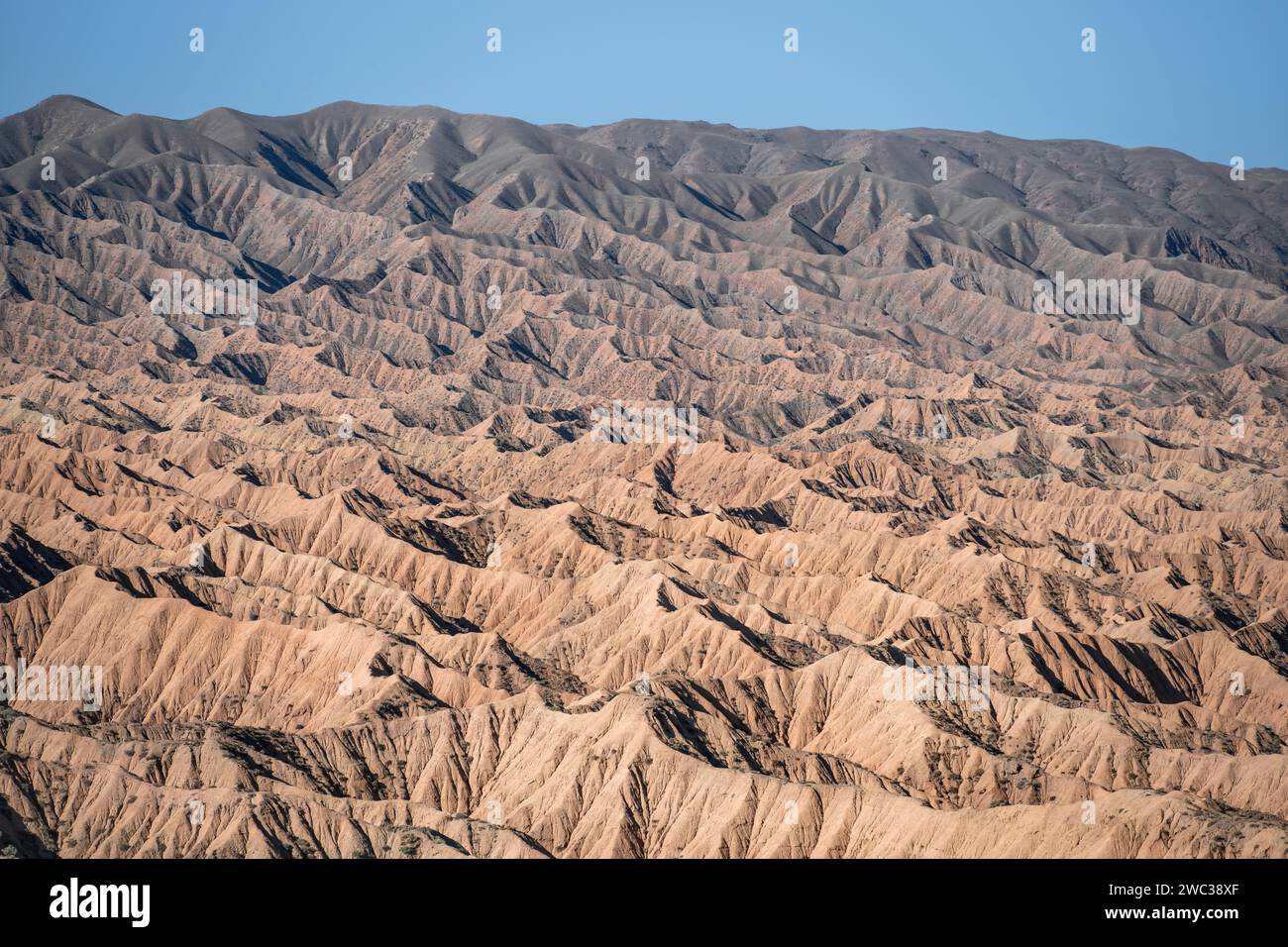 Canyons und erodierte Hügel, Badlands, Tal der vergessenen Flüsse, in der Nähe von Bokonbayevo, Yssykkoel, Kirgisistan Stockfoto