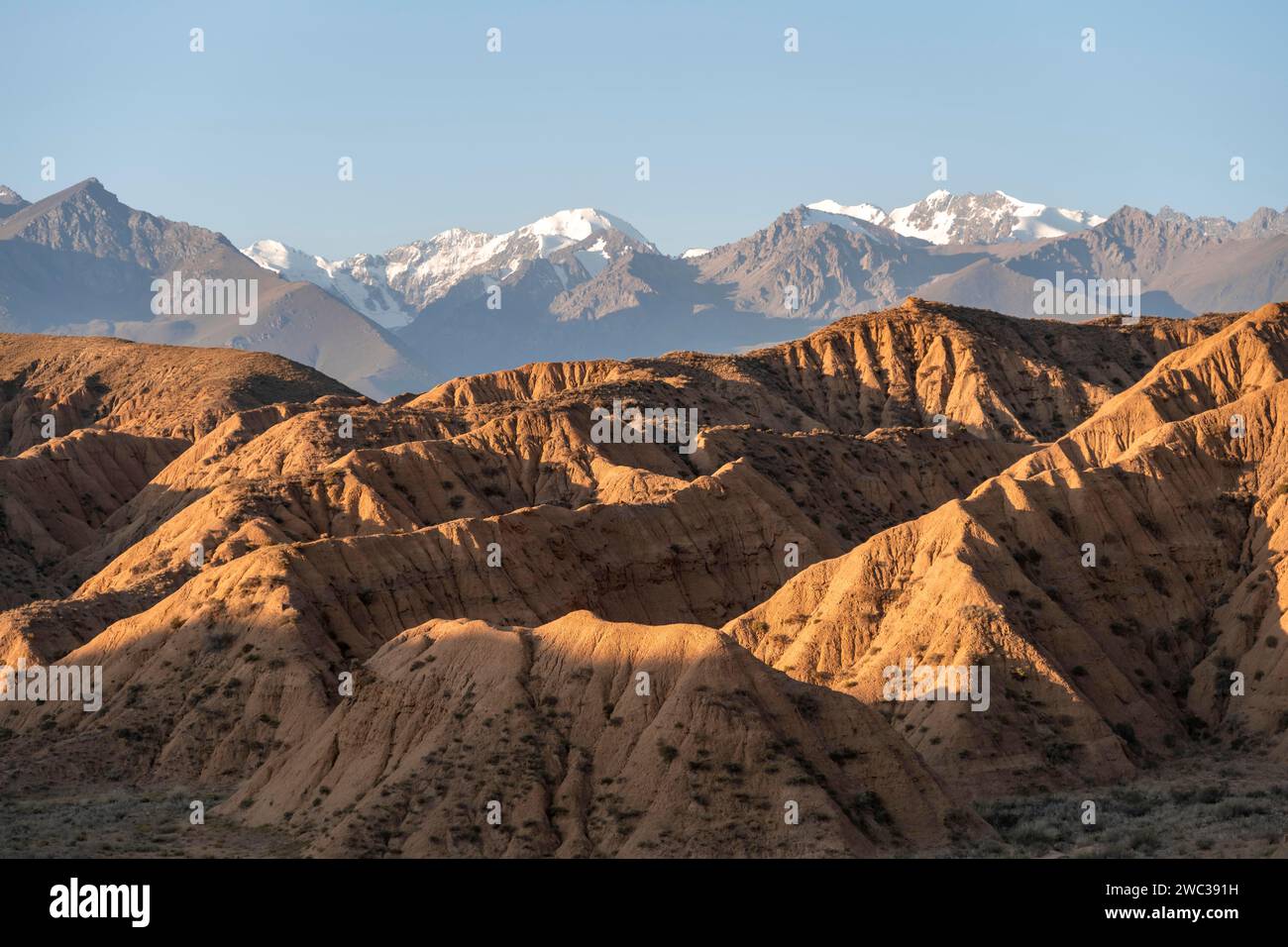 Sonnenaufgang über Canyons, Tian Shan Berge im Hintergrund, erodierte hügelige Landschaft, Badlands, Tal der vergessenen Flüsse, in der Nähe von Bokonbayevo Stockfoto