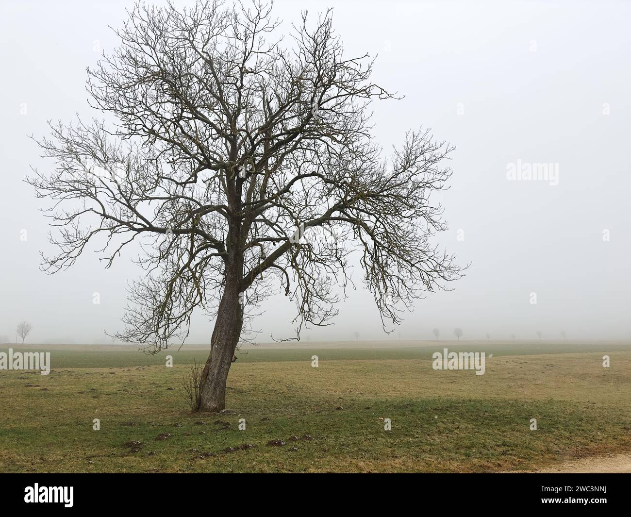 Actuell Klimawandel in Europa Stockfoto