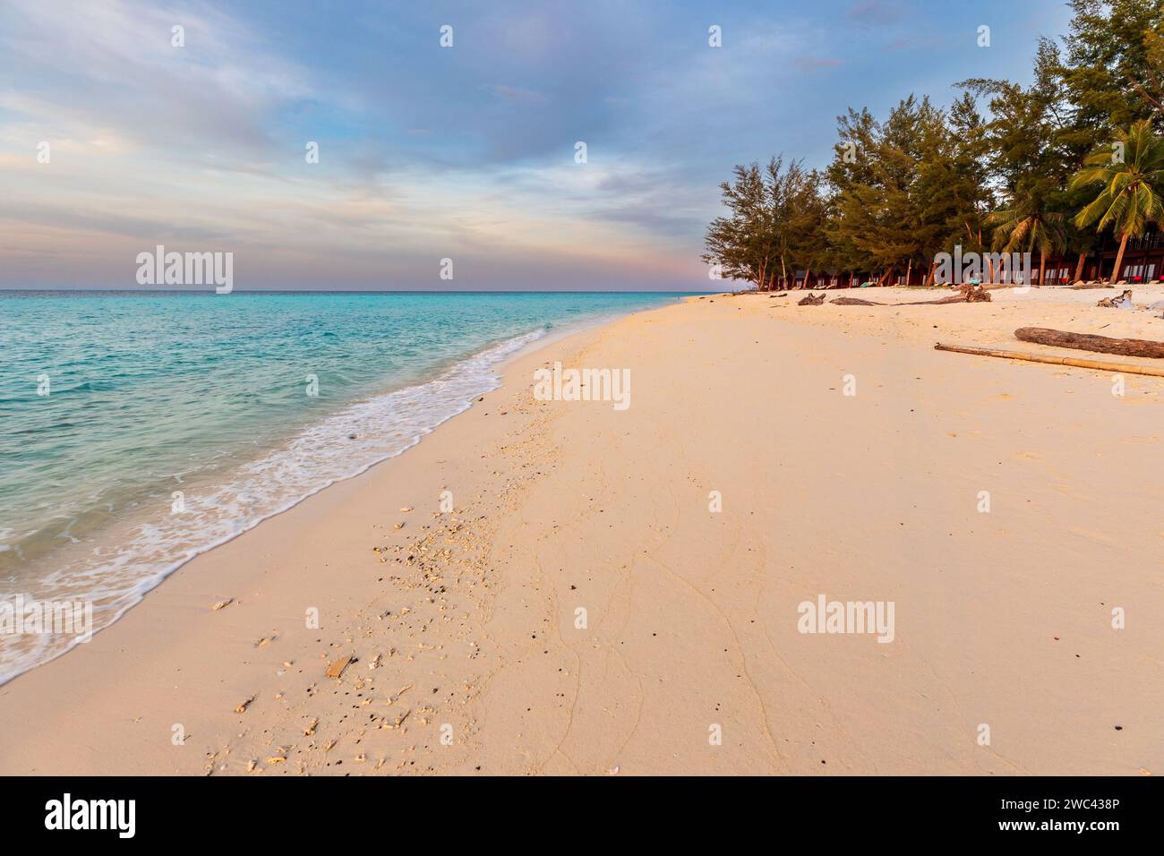 Wunderschöner abgelegener tropischer Strand mit weißem Sand und Muscheln im blauen und rosa Licht des Sonnenuntergangs Stockfoto