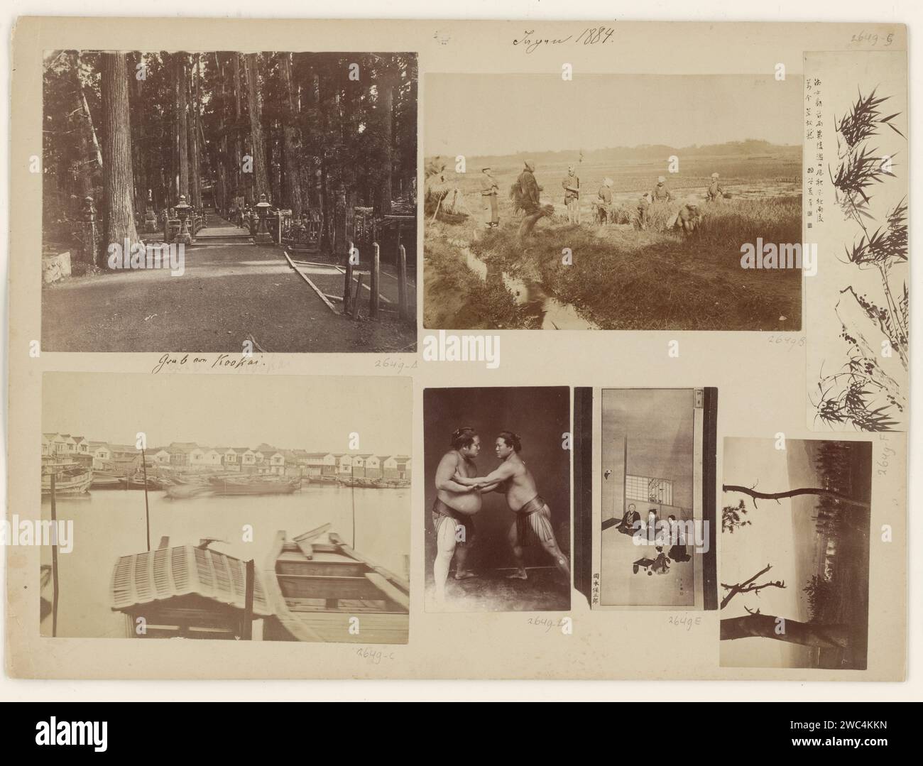 Zwei unbekannte Sumo-Wrestler im Kampf, Anonym, 1884 fotografieren Japan-Papier. Wrestling (Sport) aus Pappe mit Albumendruck (+ der Wettbewerb (Sport, Spiele usw.)) Japan Stockfoto