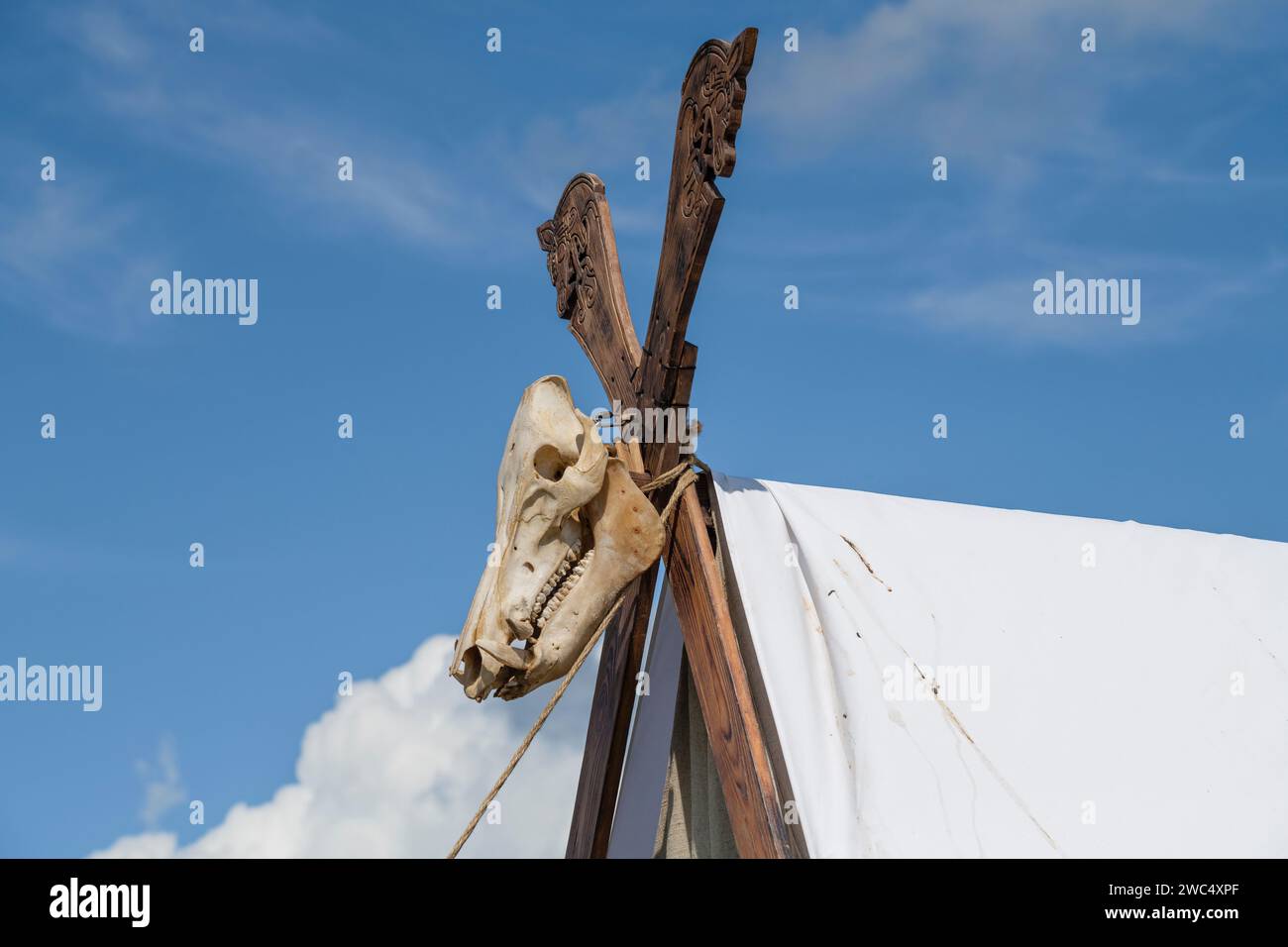 TVER REGION, RUSSLAND - 22. JULI 2023: Der Schädel eines Wildschweins auf einem Zelt an einem sonnigen Sommertag. Historisches Festival „Epic Coast-2023“ Stockfoto