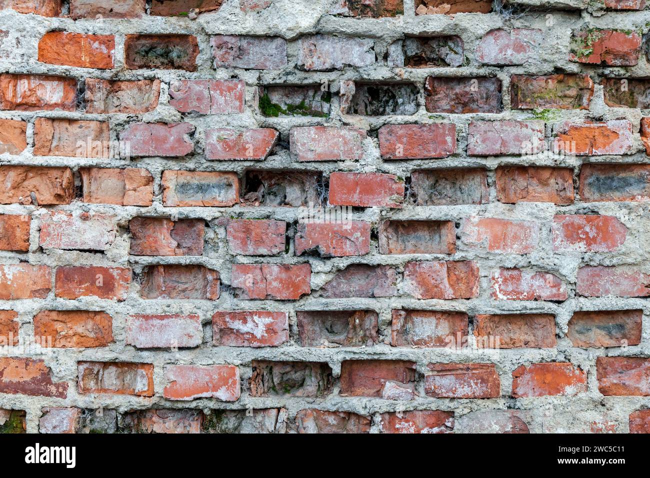 In der Nähe der alten Mauer mit Mauerwerk unter Putz Stockfoto In der Nähe der alten Mauer mit Mauerwerk unter Putz Stockfoto