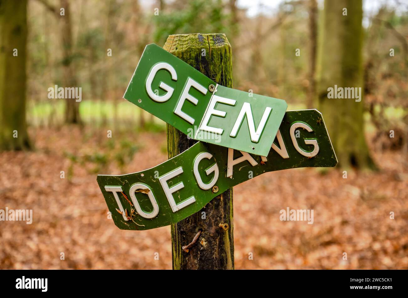 Oostvoorne, Niederlande, 23. Dezember 2023: Verdrehtes und verzerrtes Zeichen in einem Wald mit den Worten 'no entry' auf Niederländisch Stockfoto