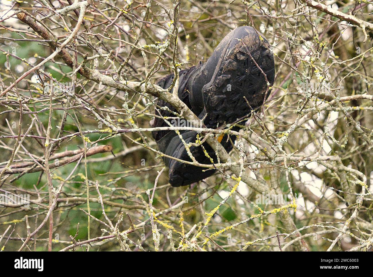 Der alte Schuh Stockfoto Der alte Schuh Stockfoto