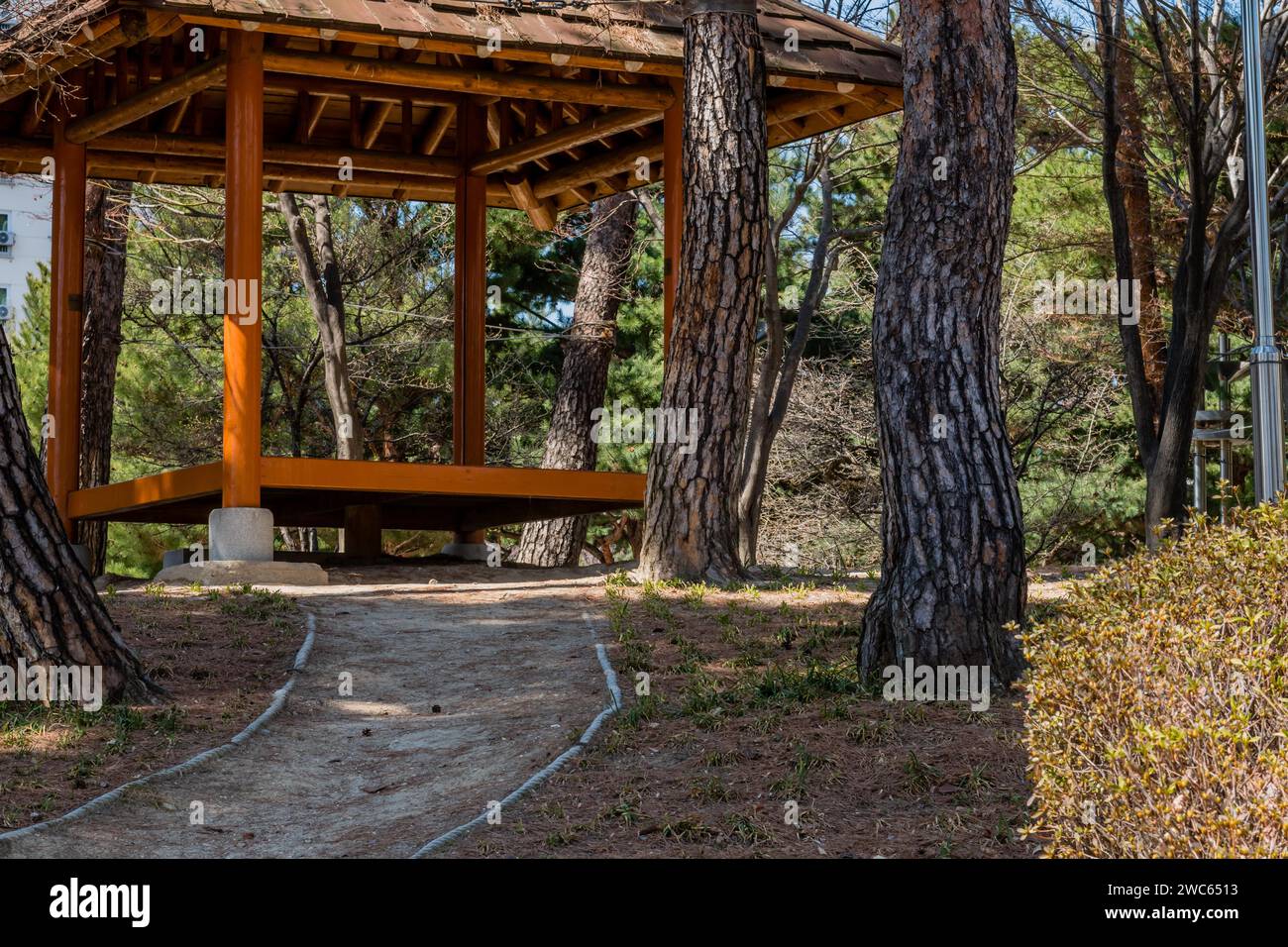 Hölzerne Picknickunterkunft zwischen immergrünen Bäumen im öffentlichen Park Stockfoto