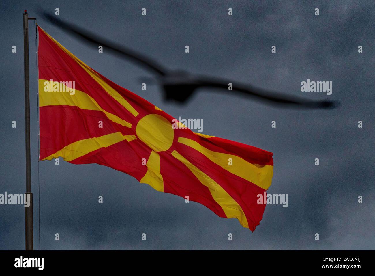 Schwarzer, verschwommener Vogel, mit Flügeln, die zur mazedonischen Flagge fliegen. Coming-Home-Konzept. Dunkler bewölkter Himmel als Hintergrund. Stockfoto