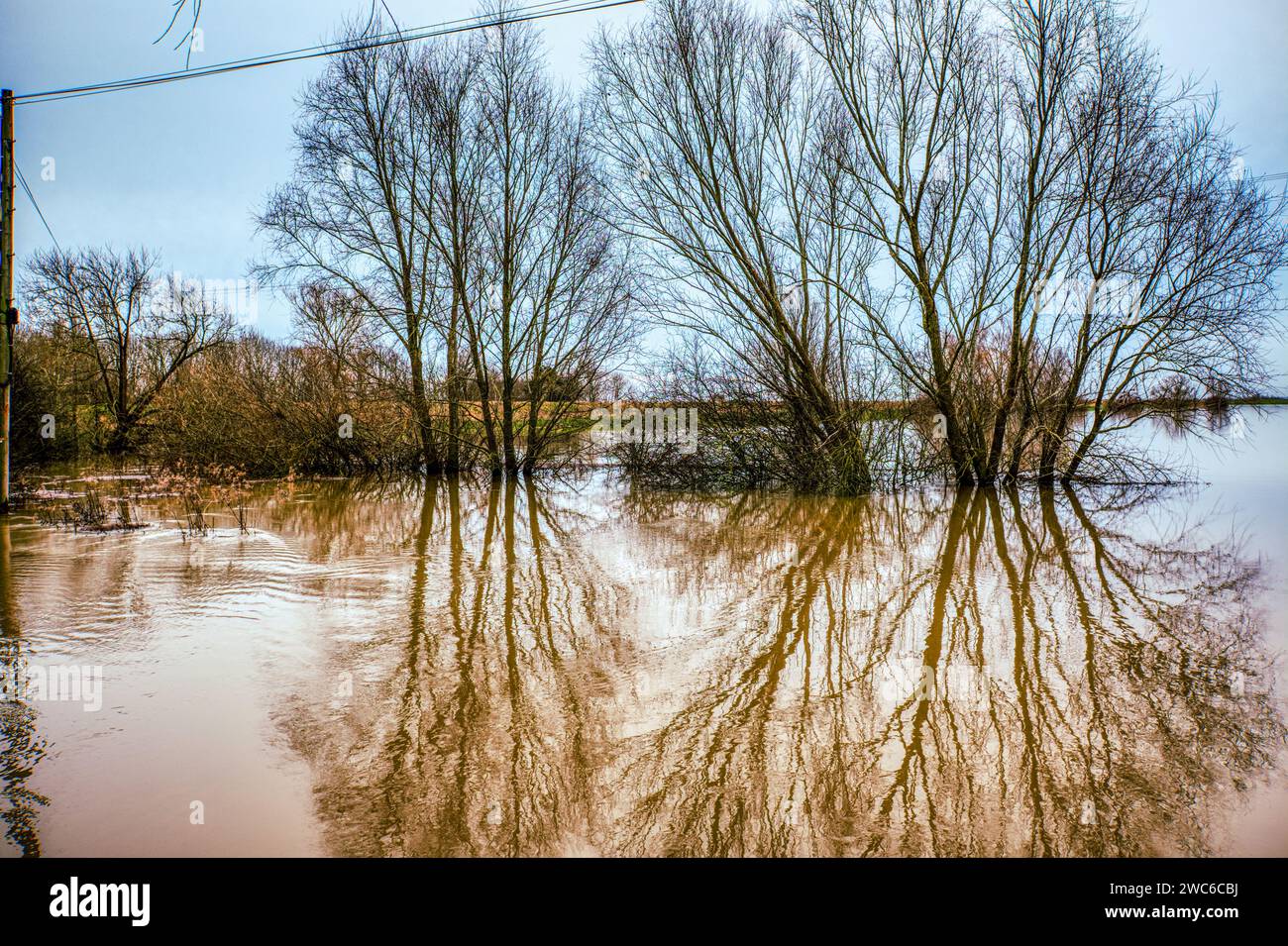 Strukturreflexionen. Hochwasserebene zwischen dem Old Bedford River und dem Hundert Fuß Abfluss, Sutton Gault, Sutton-in-the-Isle, nahe Ely, Cambridgeshire, UK Stockfoto