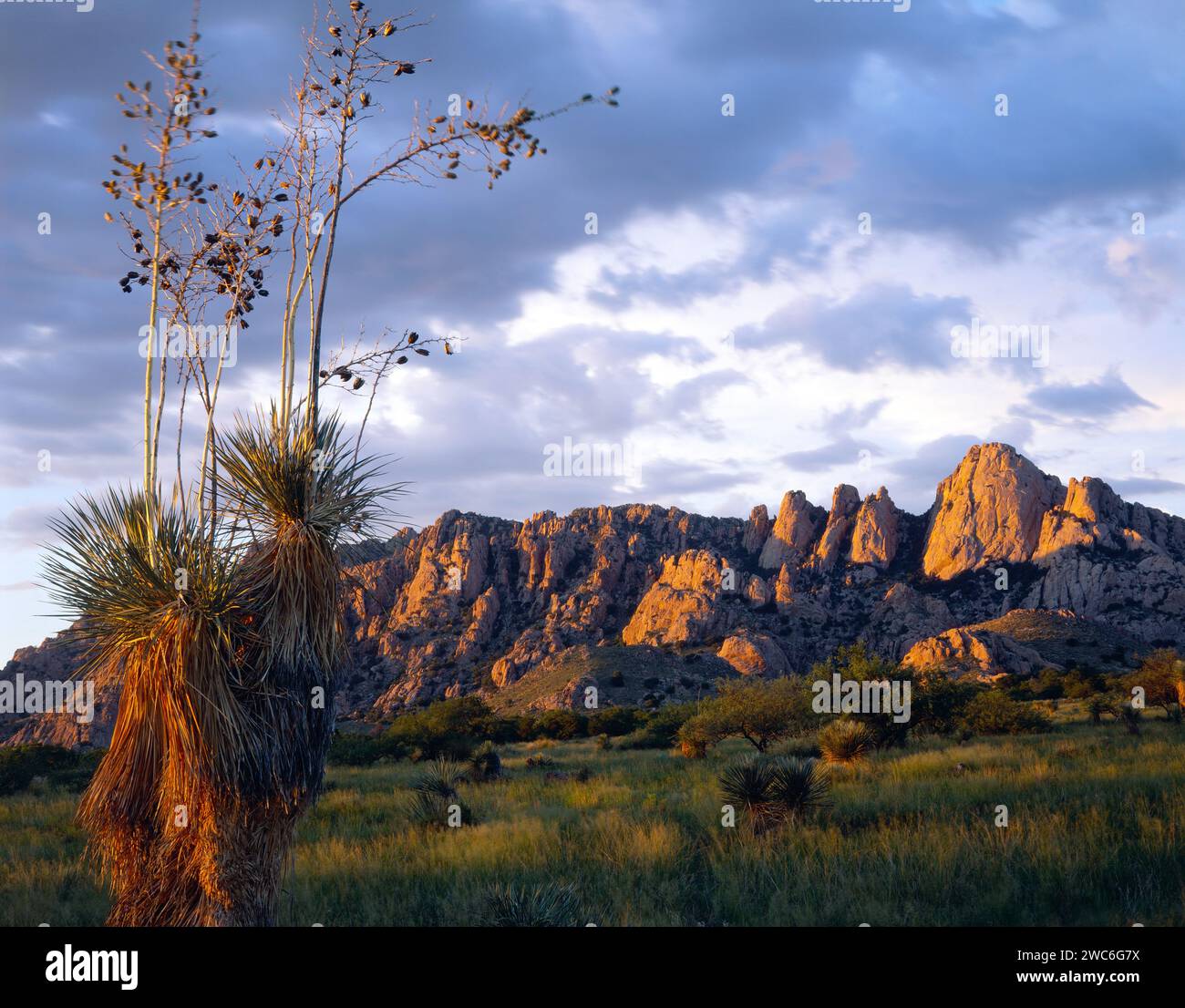 Die Westseite der Dragoon Mountains im Süden Arizonas. Stockfoto