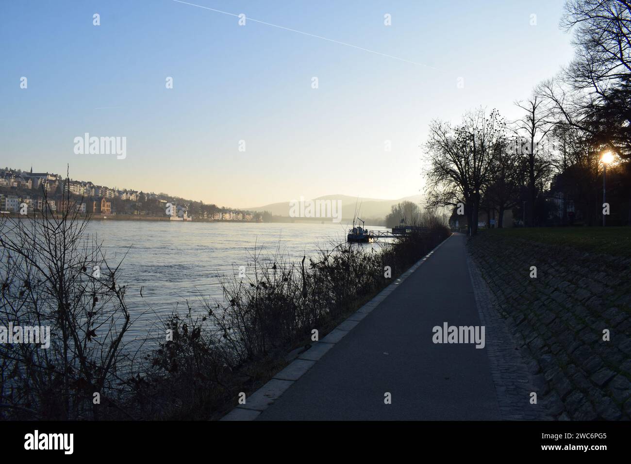 Sonne unter den Parkbäumen Stockfoto
