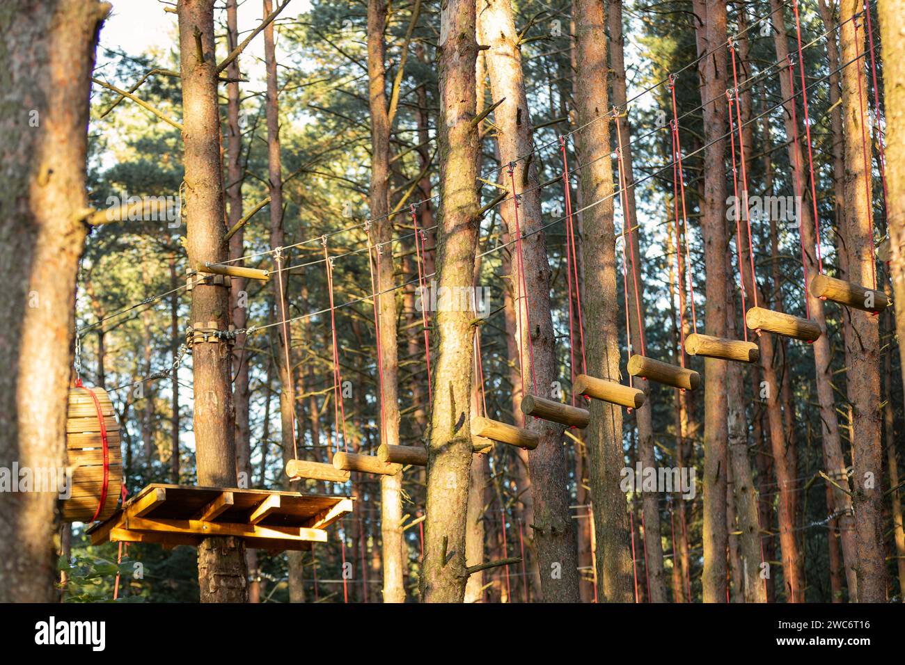 Seilpark in einem malerischen Sommerwald. Hindernisse überwinden und Höhen erreichen abstraktes Konzept. Stockfoto