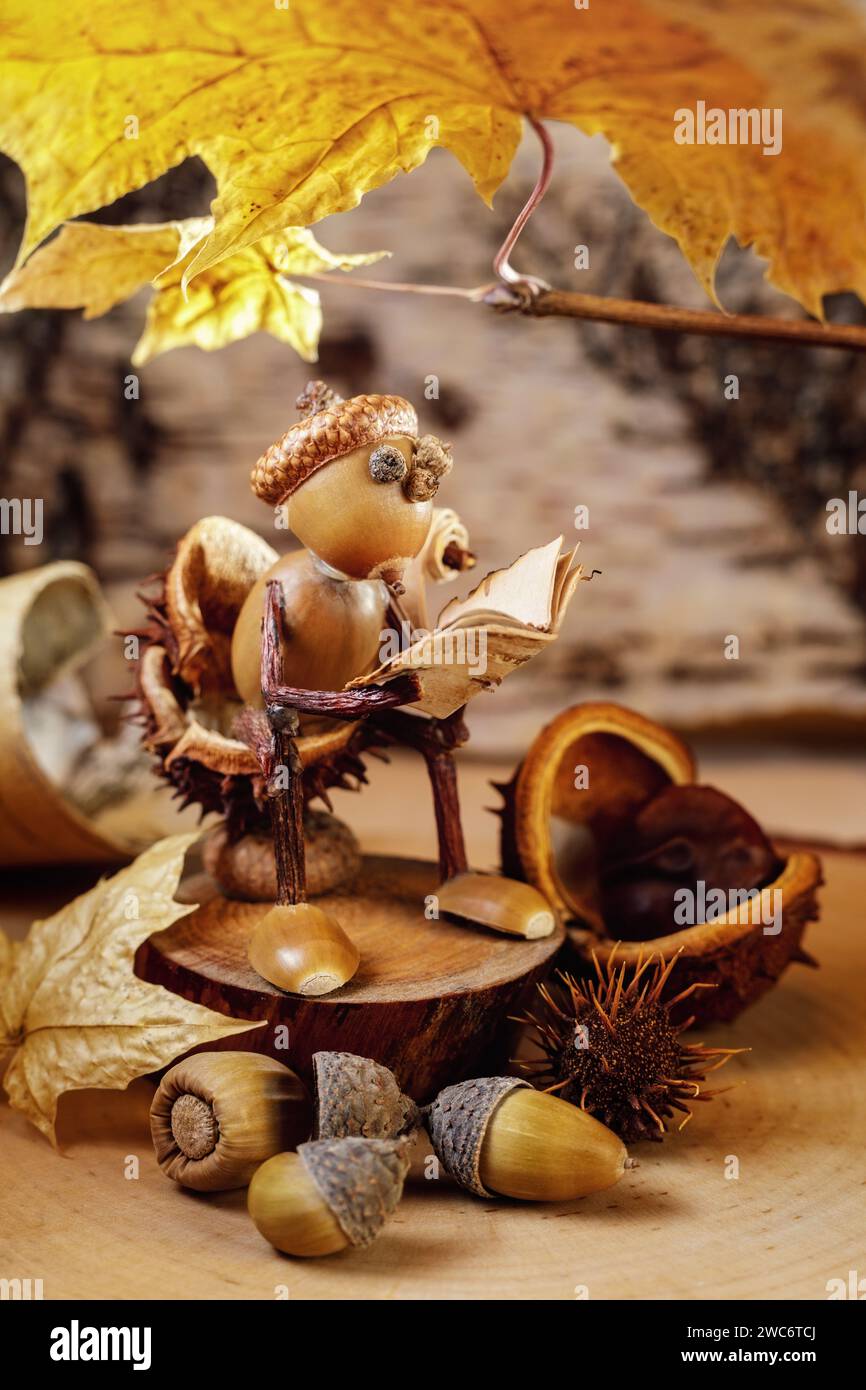 Ein Eichelzwerg liest ein Buch, während er auf einem Stumpf unter einem sonnigen goldenen Herbstblatt sitzt. Es gibt viele Waldprodukte um ihn herum. Thanksgiving-Thema. Stockfoto