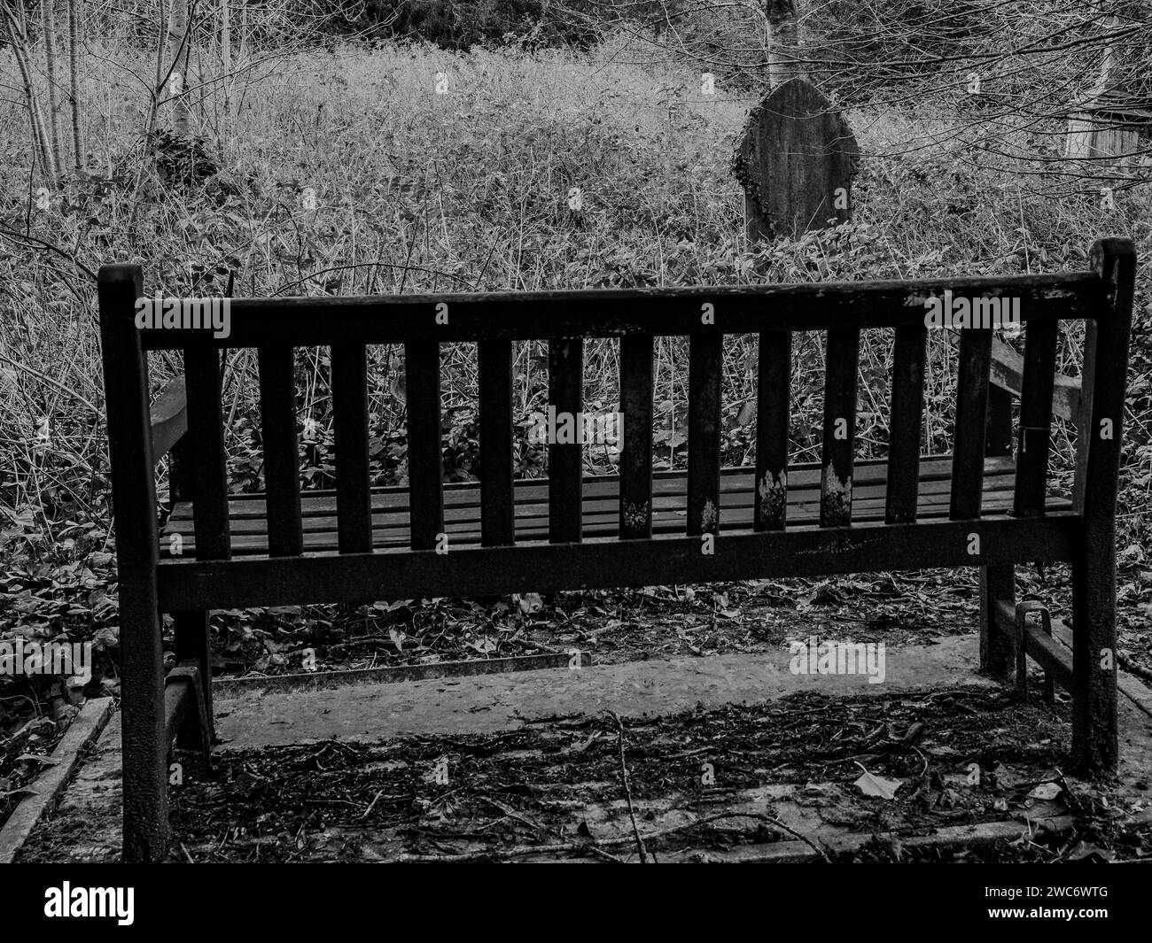 Leere, einsame Bank, die auf einen Grabstein auf einem Friedhof in Cardiff, Wales, blickt. Grabsteine. Evokativ, traurig, traurig, gotisch, Tod, Leben Nach Dem Tod Stockfoto