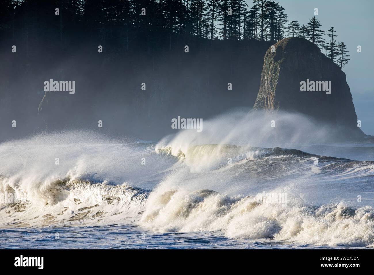 WA23970-00...WASHINGTON - Spinndrift auf den vom Wind verwehten Wellen in der Nähe von James Island vom Rialto Beach im Olympic National Park. Stockfoto