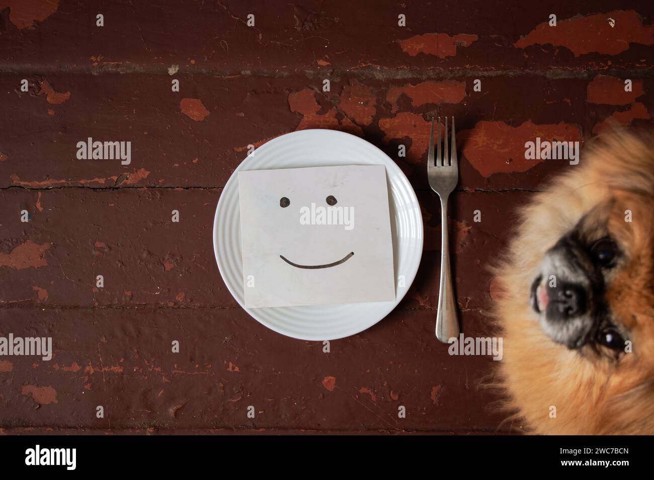 Eine Zeichnung eines Lächelns liegt auf einem weißen leeren Teller auf einem Holztisch, und daneben steht ein Pekingese, gute Laune Stockfoto