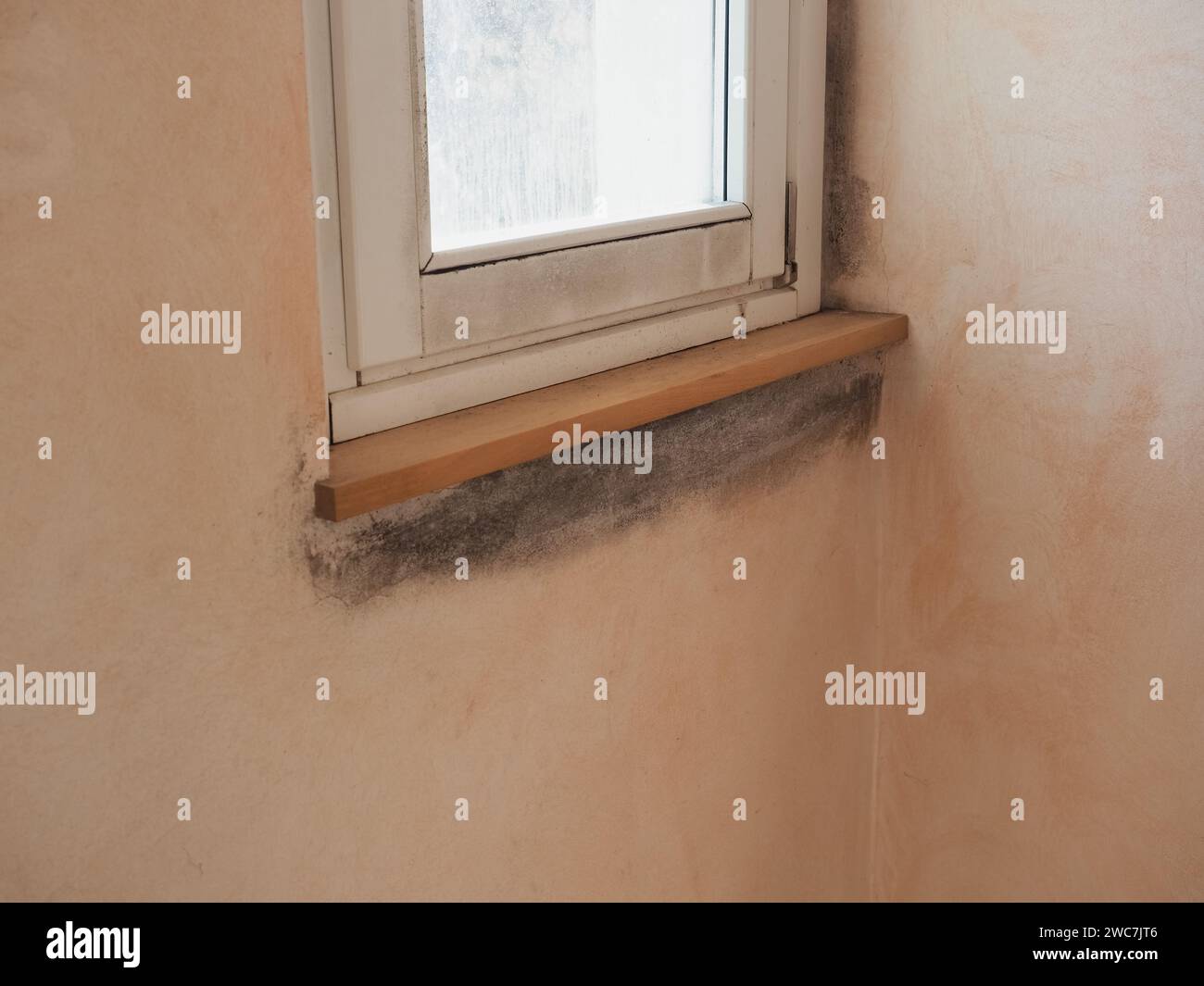 Schäden, die durch Feuchtigkeit und Feuchtigkeit an Einer Wand verursacht werden Stockfoto