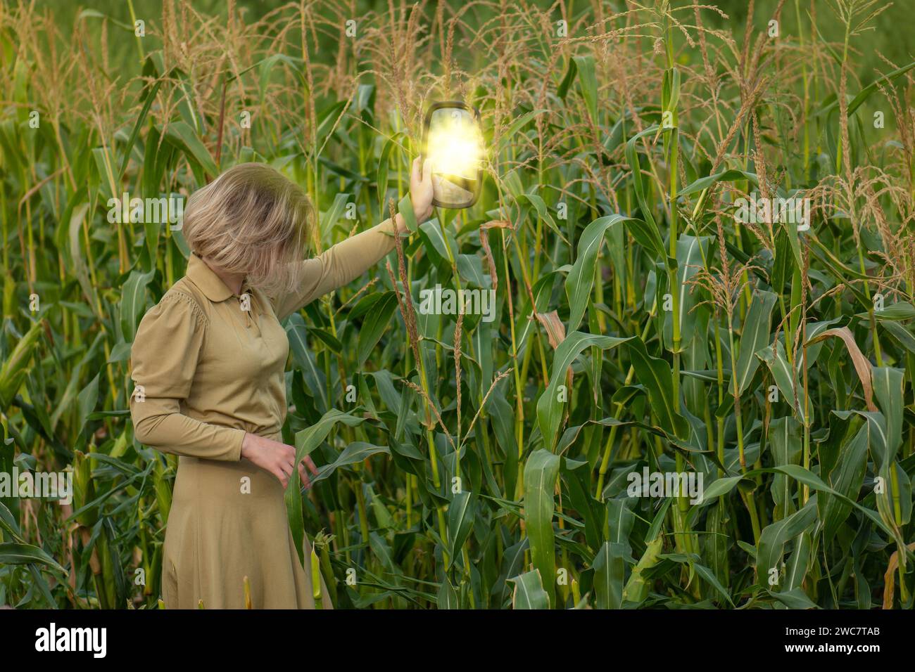 Junge Frau in gelbgoldenem Kleid vor dem Hintergrund des Maisfeldes im Sommer. Außenporträt einer jungen Frau in seliger Kleidung im Garten. Stockfoto