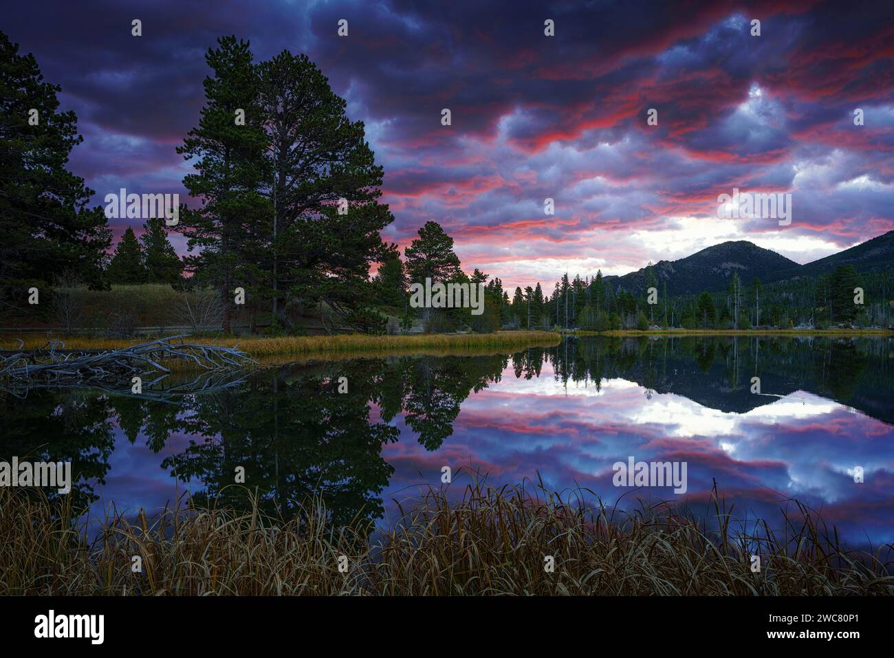 Wunderschöner Sonnenaufgang am Sprague Lake im Rocky Mountain National Forest, Colorado Stockfoto