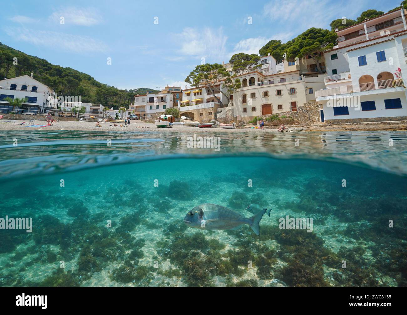 Spanien, mediterranes Dorf am Meer mit Fisch unter Wasser, geteilte Sicht über und unter der Wasseroberfläche, natürliche Szene, Costa Brava, Sa Thunfisch Stockfoto