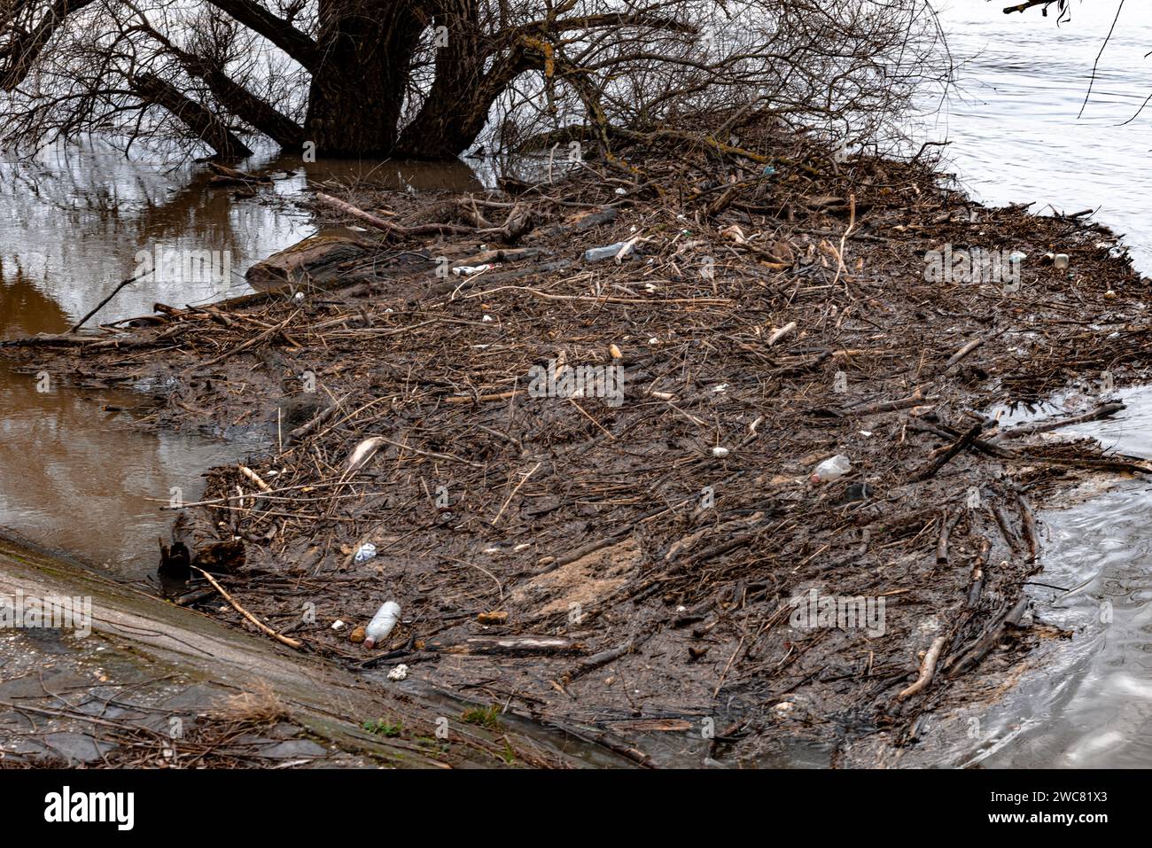 Kunststoffabfälle, feste Abfälle, Holzspäne im Fluss, Kanal, entlang der Küste oder Ufer. Querformat. Stockfoto