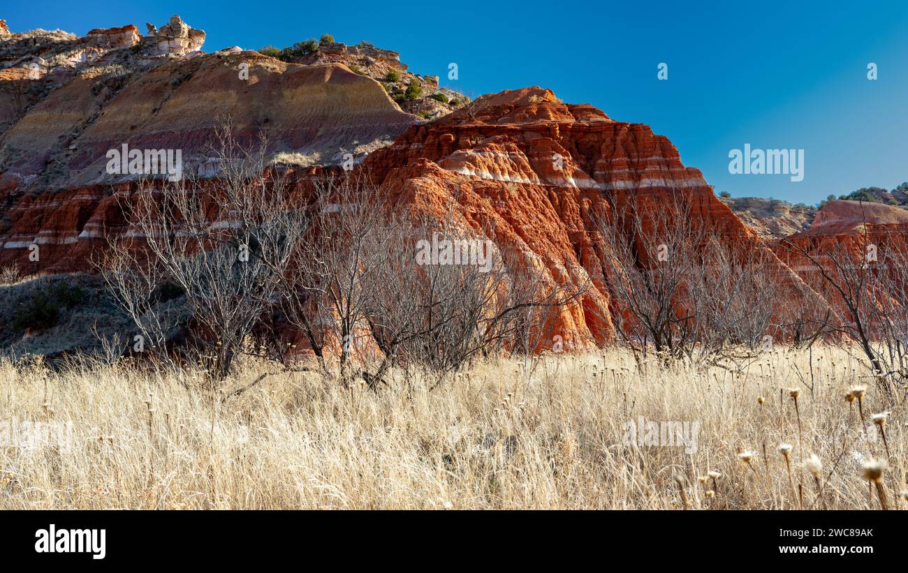 Ridge aus rotem Gestein und einheimischen Pflanzen Stockfoto