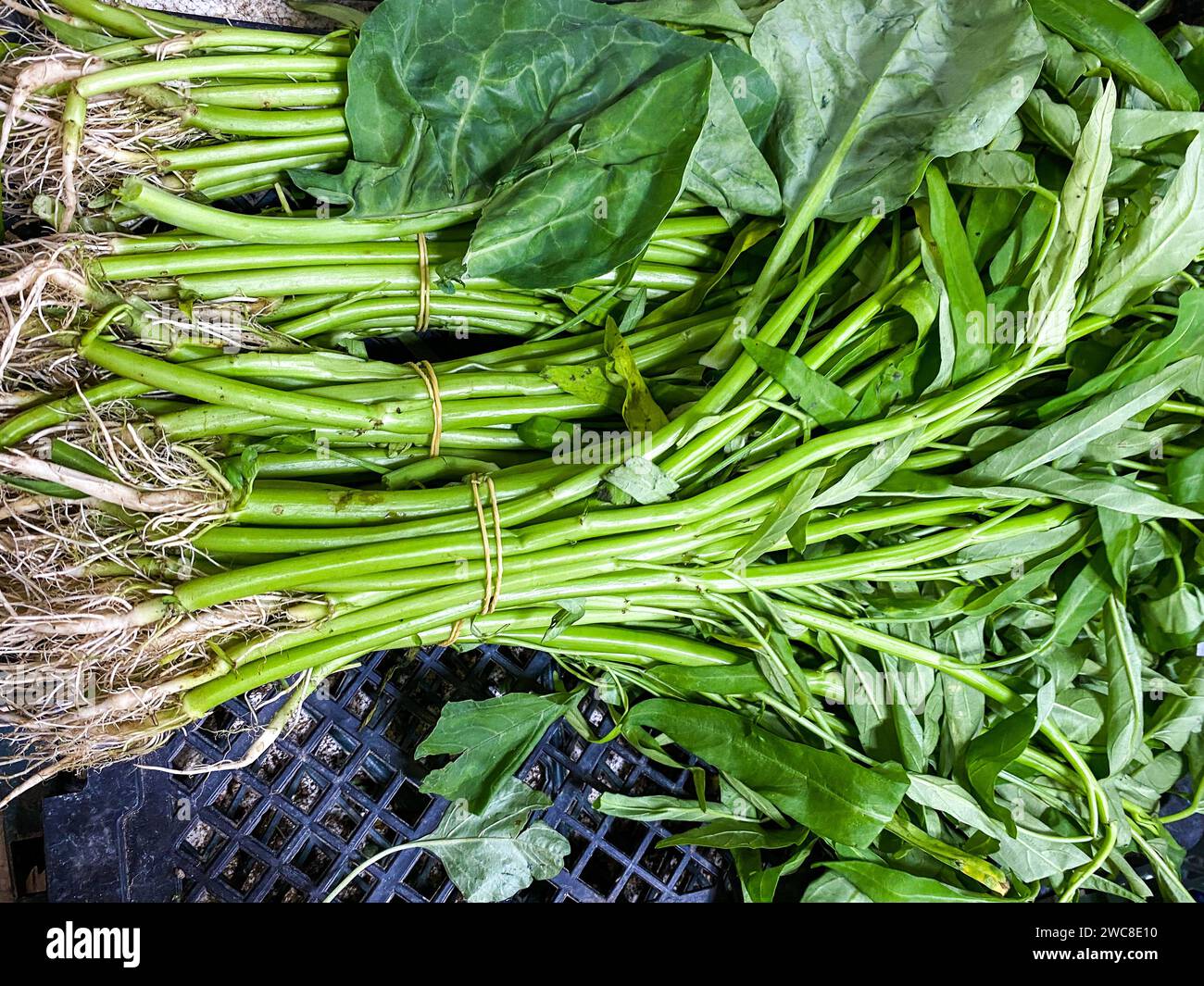 Haufen Wasser Spinat Hintergrund. Verkauf auf Frischmarkt. Stockfoto