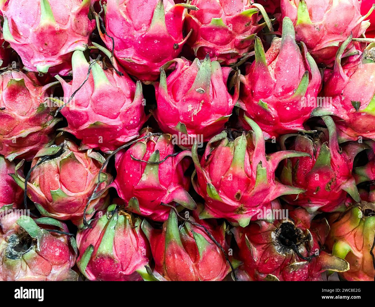 Nahaufnahme des Texturhintergrunds der Drachenfrucht. Stockfoto