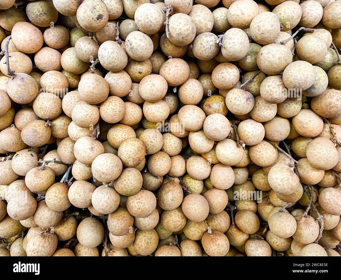 Hintergrund der natürlichen Longan-Früchte. thailändisches Obst Stockfoto