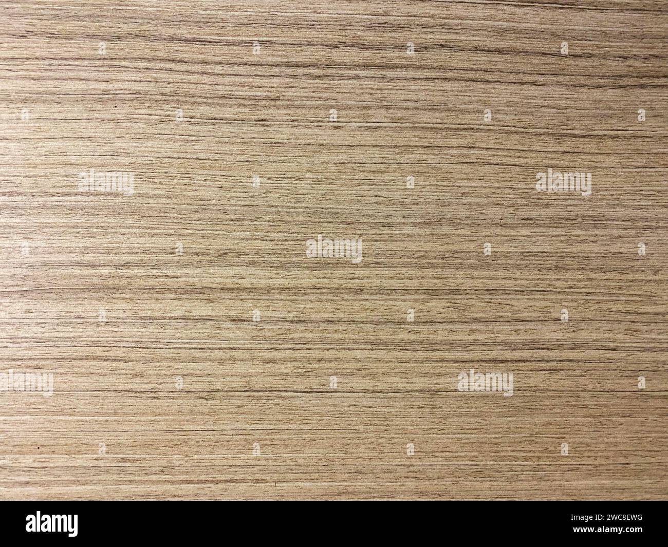 Heller Laminatboden mit glatter Oberfläche, perfekt für moderne Innenarchitekturen. Stockfoto