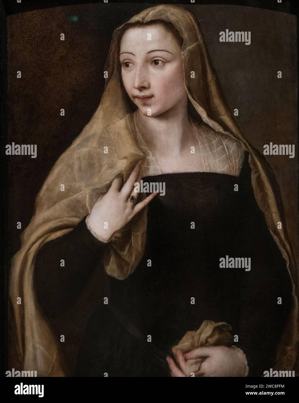Tiziano Vecellio: "Porträt von Settimia Jacovacci" (1545) Stockfoto