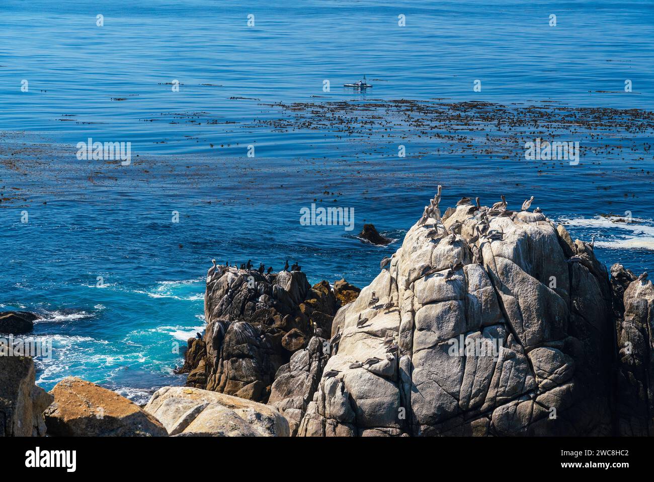 Berühmte, zerklüftete Küste entlang des 17-Mile Drive in der Nähe von Pebble Beach, Kalifornien Stockfoto